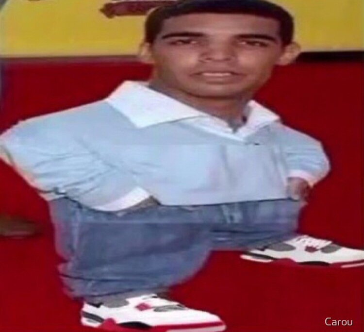 Drake Rule 34 Image