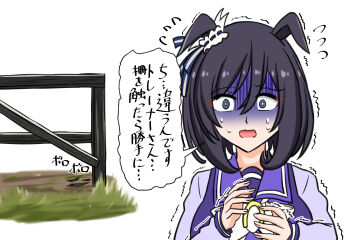 Eishin Flash (Umamusume) Rule 34 Image