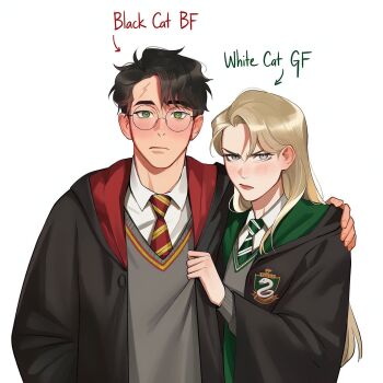 Harry Potter (Series) Rule 34 Image
