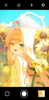 Hoshino (Blue Archive) Rule 34 Image