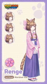 Renge (Nekopara) Rule 34 Image
