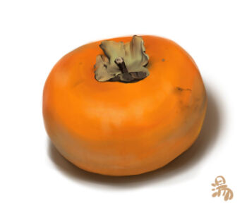 Commentary Request Rule 34 Image