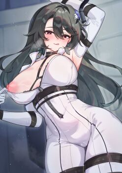 Honkai (Series) Rule 34 Image