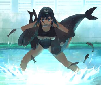 Alternate Costume Rule 34 Image