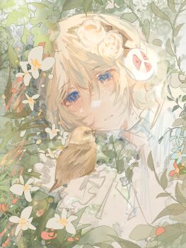 Aigis (Persona) Rule 34 Image