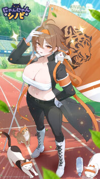 Ahoge Rule 34 Image