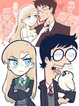 Harry Potter (Series) Rule 34 Image