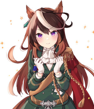 Symboli Rudolf (Emperor'S Path) (Umamusume) Rule 34 Image