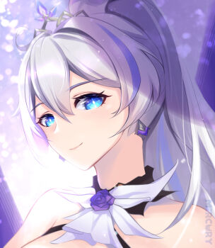 Honkai (Series) Rule 34 Image