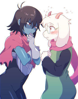 Kris (Dark World) (Deltarune) Rule 34 Image