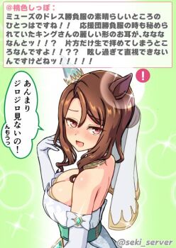 King Halo (Evergreen Identity) (Umamusume) Rule 34 Image