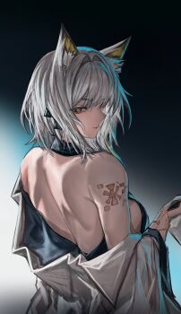 Kal'Tsit (Arknights) Rule 34 Image