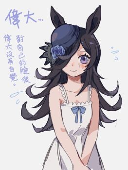 Rice Shower (Umamusume) Rule 34 Image