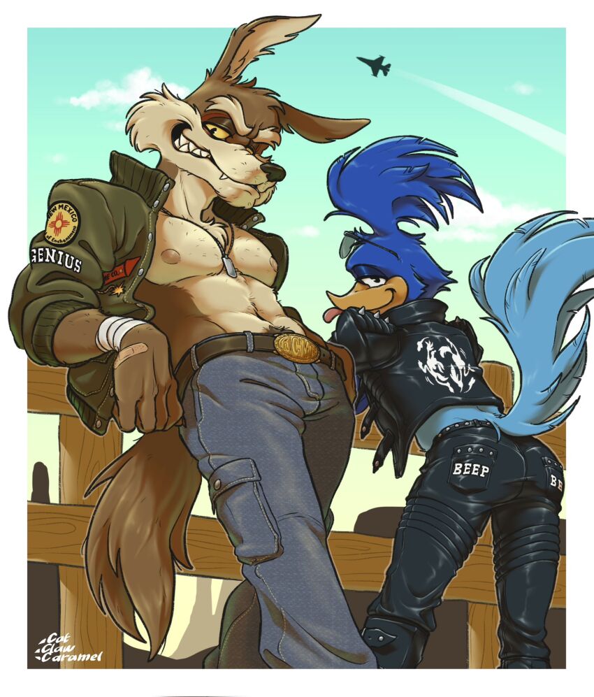Road Runner (Looney Tunes) Rule 34 Image