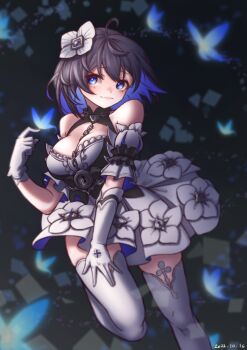 Honkai (Series) Rule 34 Image