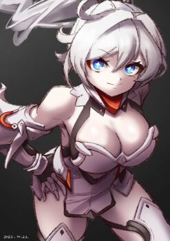 Honkai (Series) Rule 34 Image