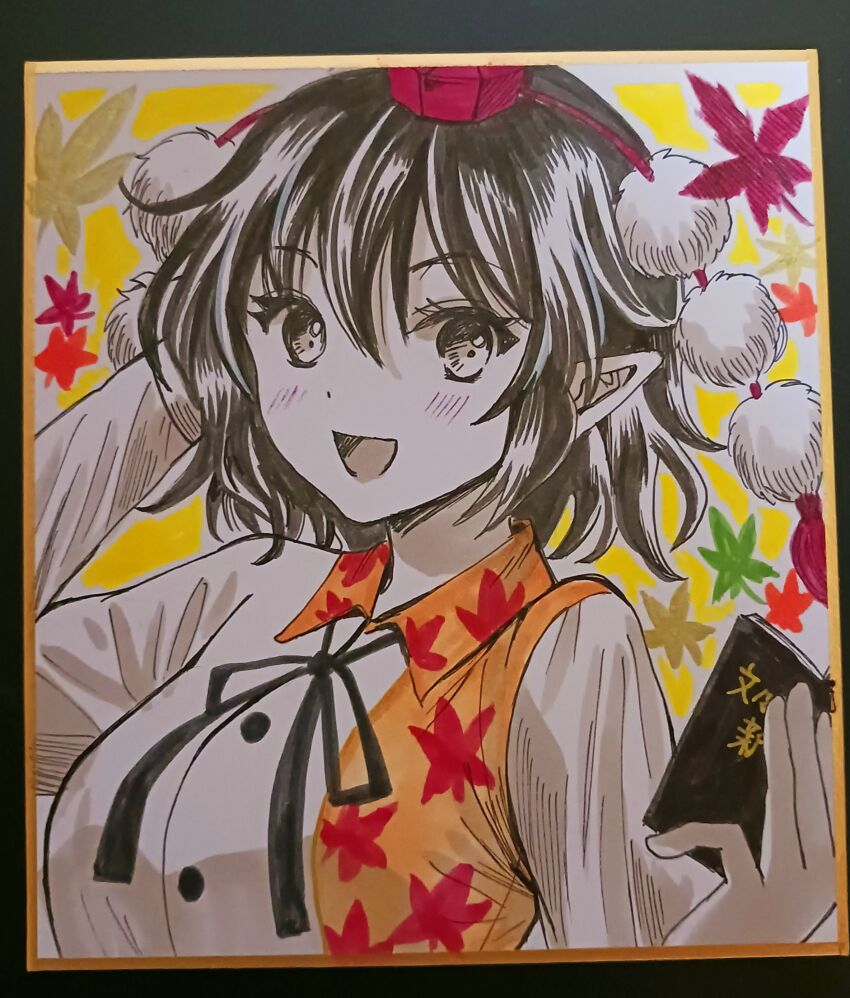 Shameimaru Aya (Touhou) Rule 34 Image