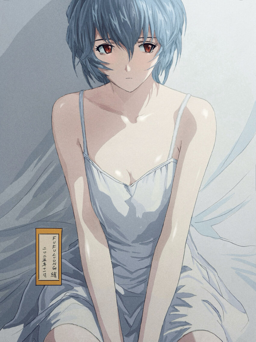 Ayanami Rei (Neon Genesis Evangelion) Rule 34 Image