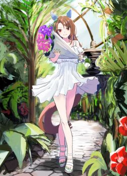 King Halo (Umamusume) Rule 34 Image
