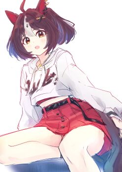Gran Alegria (Casual) (Umamusume) Rule 34 Image