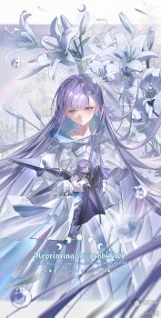Fate (Series) Rule 34 Image