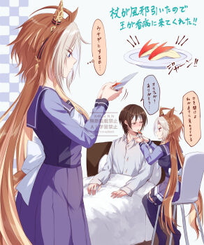 Orfevre (Umamusume) Rule 34 Image