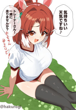 Dantsu Flame (Umamusume) Rule 34 Image