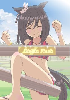 Eishin Flash (Umamusume) Rule 34 Image