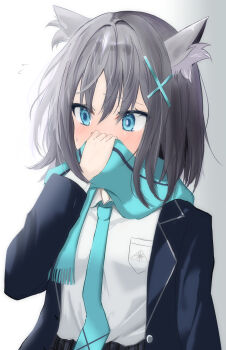 Shiroko (Blue Archive) Rule 34 Image
