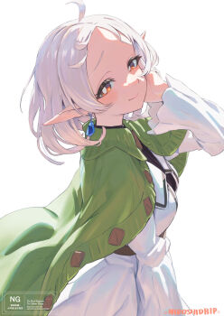 Sylphiette (Mushoku Tensei) Rule 34 Image