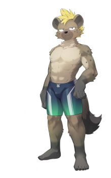 Roiker (Live A Hero) Rule 34 Image