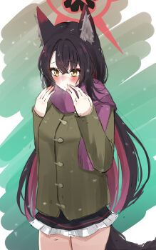 Wakamo (Blue Archive) Rule 34 Image