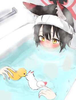 Wakamo (Blue Archive) Rule 34 Image