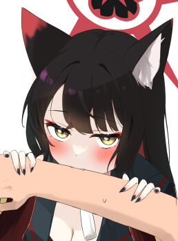 Wakamo (Blue Archive) Rule 34 Image