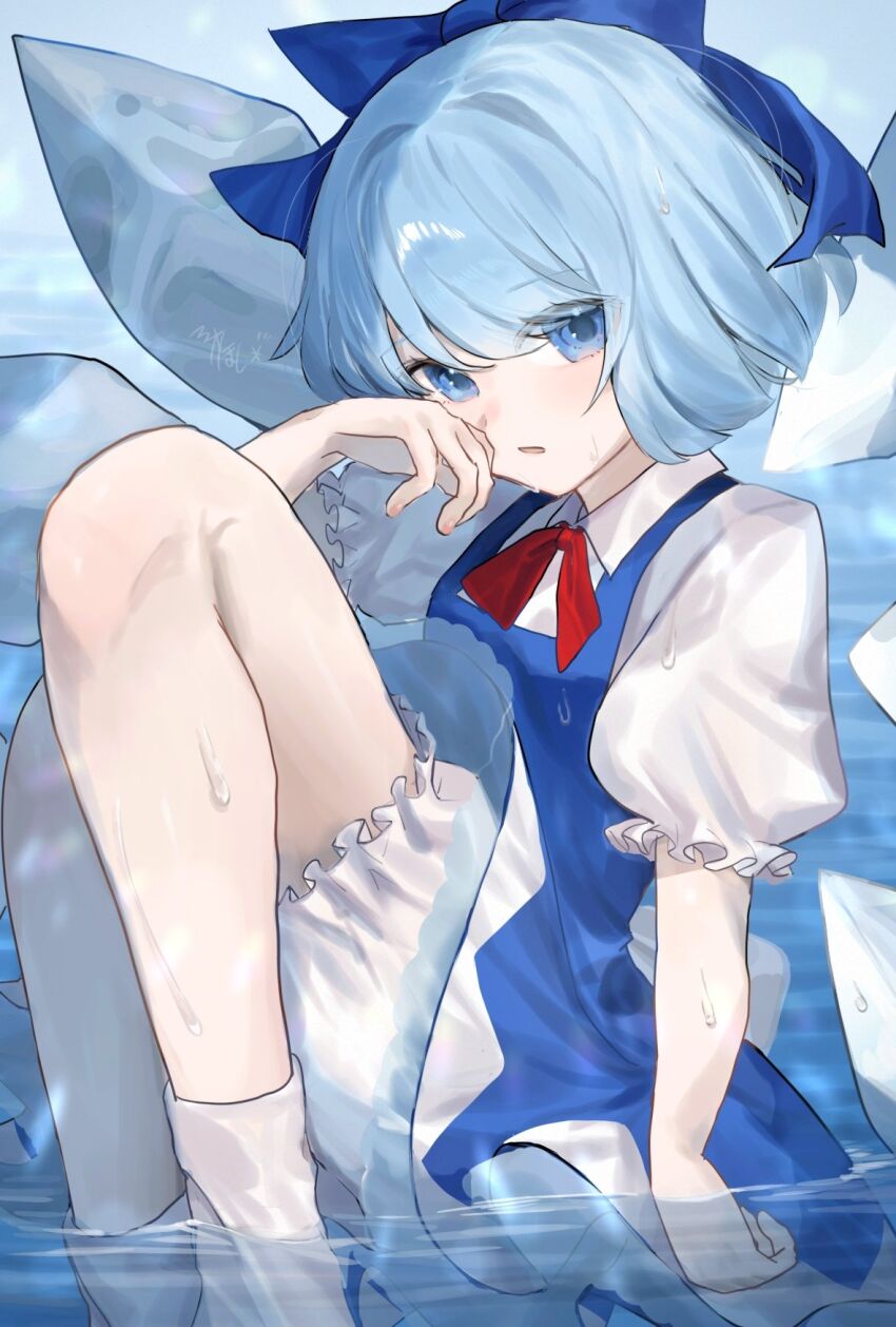 Cirno (Touhou) Rule 34 Image