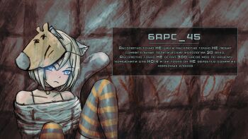 Bars 45 (Shveik 88) Rule 34 Image