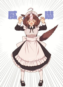 Meisho Doto (Umamusume) Rule 34 Image