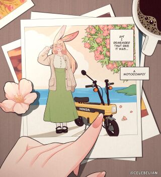 Bun Wife (Celebelian) Rule 34 Image