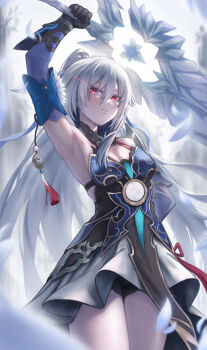 Honkai (Series) Rule 34 Image