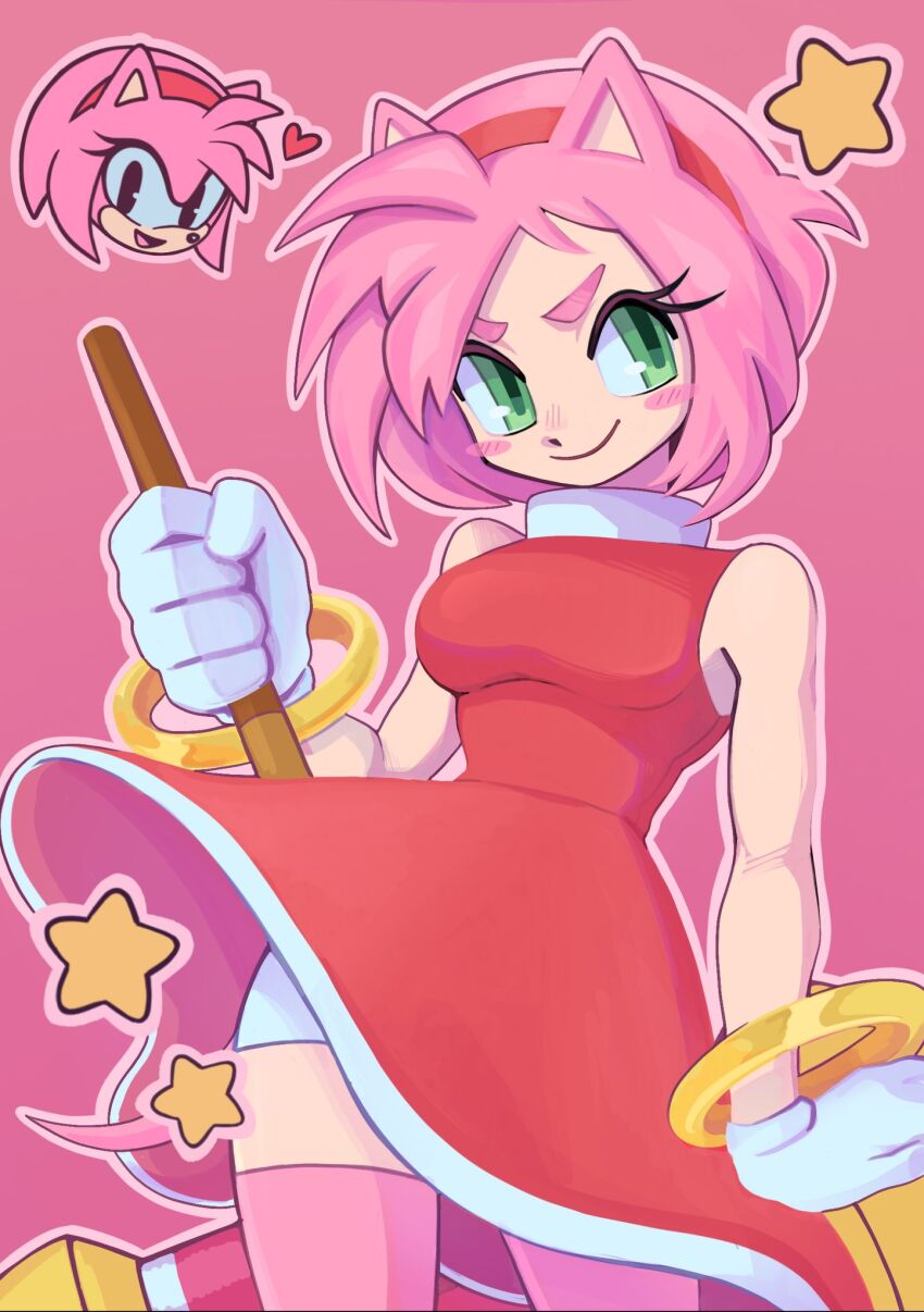 Amy Rose (Sonic (Series)) Rule 34 Image