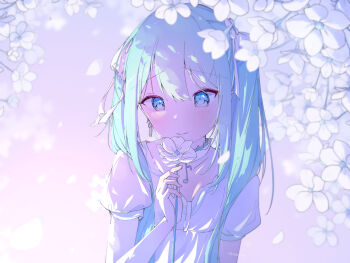 Bloom Festival (Project Sekai) Rule 34 Image