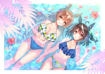 Kitasan Black (Umamusume) Rule 34 Image