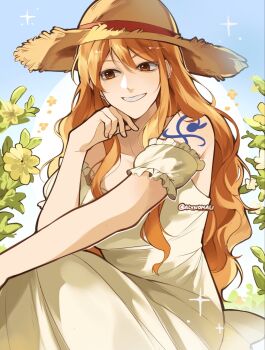 Nami (One Piece) Rule 34 Image