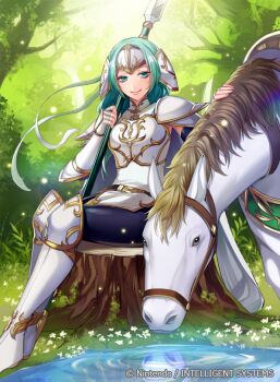 Sigrun (Fire Emblem) Rule 34 Image