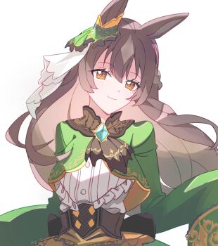 Satono Diamond (Natural Brilliance) (Umamusume) Rule 34 Image