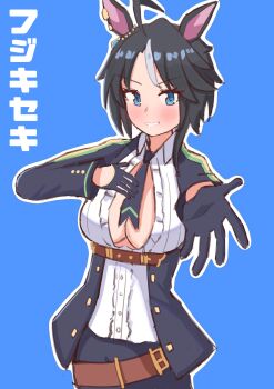 Fuji Kiseki (Shooting Star Revue) (Umamusume) Rule 34 Image