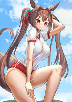 Daiwa Scarlet (Umamusume) Rule 34 Image