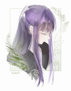 Fern (Sousou No Frieren) Rule 34 Image