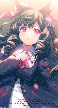 Daiichi Ruby (Brilliant Red Gemstone) (Umamusume) Rule 34 Image