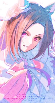 Sakura Bakushin O (Swift Runner Of Spring Thunder) (Umamusume) Rule 34 Image